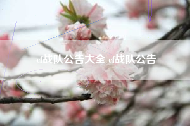 cf战队公告大全 cf战队公告