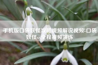 手机版口袋妖怪攻略视频解说视频-口袋妖怪xy全程视频演练