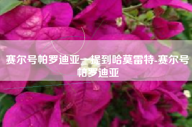 赛尔号帕罗迪亚一提到哈莫雷特-赛尔号帕罗迪亚