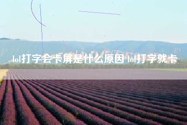 lol打字会卡屏是什么原因 lol打字就卡