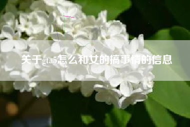 关于gta5怎么和女的搞事情的信息