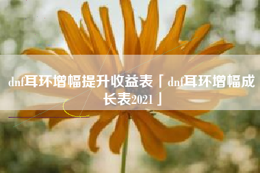 dnf耳环增幅提升收益表「dnf耳环增幅成长表2021」
