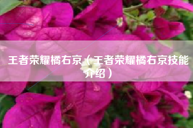 王者荣耀橘右京（王者荣耀橘右京技能介绍）