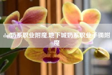 dnf奶系职业附魔,地下城奶系职业手镯附魔