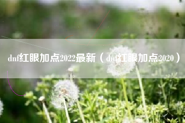 dnf红眼加点2022最新（dnf红眼加点2020）