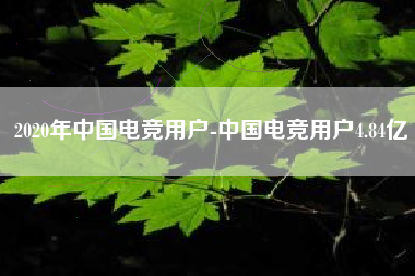 2020年中国电竞用户-中国电竞用户4.84亿