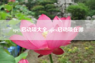apex启动项大全-apex启动项在哪