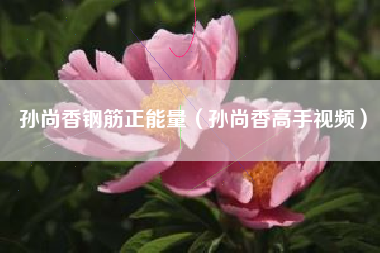 孙尚香钢筋正能量（孙尚香高手视频）