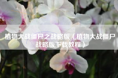 植物大战僵尸之战略版（植物大战僵尸战略版下载教程）
