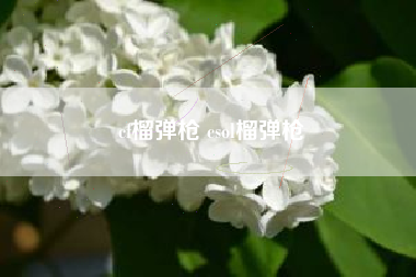 cf榴弹枪 csol榴弹枪