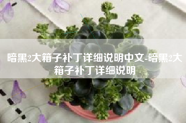 暗黑2大箱子补丁详细说明中文-暗黑2大箱子补丁详细说明
