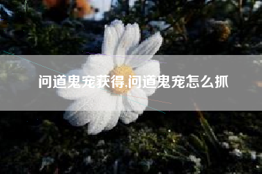 问道鬼宠获得,问道鬼宠怎么抓
