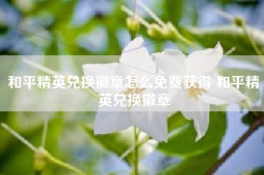 和平精英兑换徽章怎么免费获得 和平精英兑换徽章