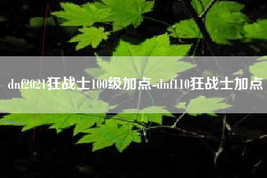 dnf2021狂战士100级加点-dnf110狂战士加点