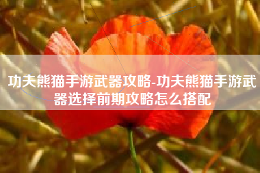 功夫熊猫手游武器攻略-功夫熊猫手游武器选择前期攻略怎么搭配