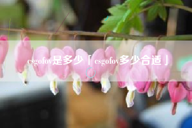 csgofov是多少「csgofov多少合适」