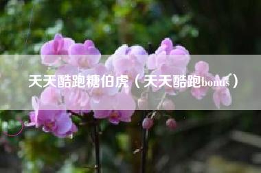 天天酷跑糖伯虎（天天酷跑bonus）