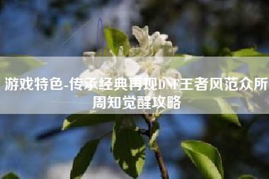 游戏特色-传承经典再现DNF王者风范众所周知觉醒攻略
