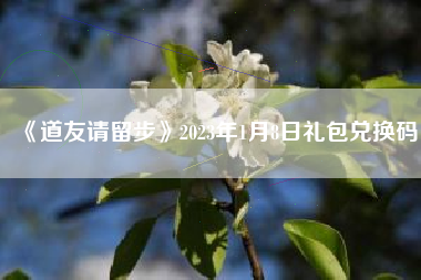 《道友请留步》2023年1月8日礼包兑换码
