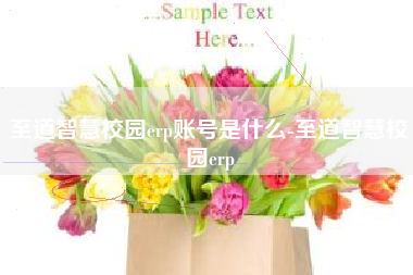 至道智慧校园erp账号是什么-至道智慧校园erp