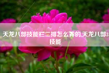 天龙八部技能栏二排怎么弄的,天龙八部3技能