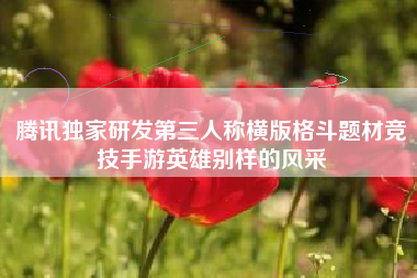腾讯独家研发第三人称横版格斗题材竞技手游英雄别样的风采