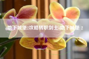 地下城堡2攻略转职剑士-地下城堡 2
