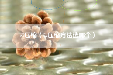 z7压缩（7z压缩方法选哪个）