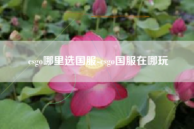 csgo哪里选国服-csgo国服在哪玩