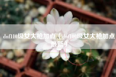dnf110级女大枪加点（dnf100级女大枪加点最新）