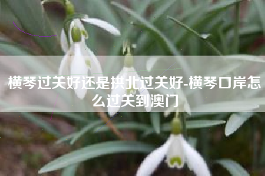 横琴过关好还是拱北过关好-横琴口岸怎么过关到澳门