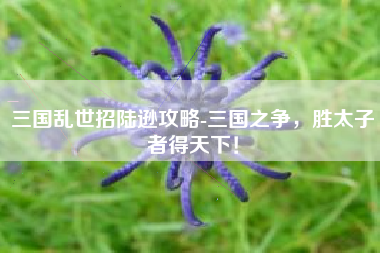 三国乱世招陆逊攻略-三国之争，胜太子者得天下！