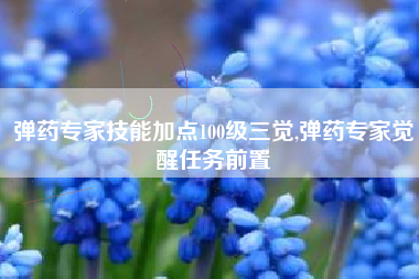 弹药专家技能加点100级三觉,弹药专家觉醒任务前置