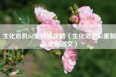 生化危机hd重制版攻略（生化危机hd重制版攻略图文）