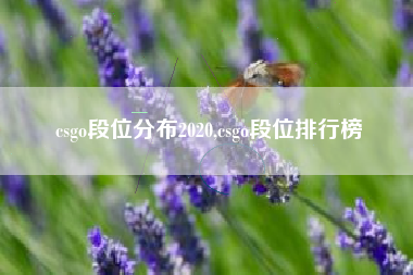 csgo段位分布2020,csgo段位排行榜