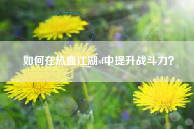 如何在热血江湖sf中提升战斗力？
