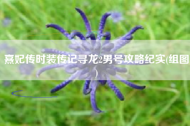 熹妃传时装传记寻龙2男号攻略纪实(组图)