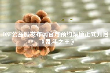 DNF公益服发布网官方预约渠道正式开启《乱斗之王》