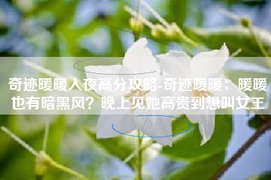 奇迹暖暖入夜高分攻略-奇迹暖暖：暖暖也有暗黑风？晚上见她高贵到想叫女王