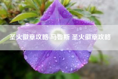 圣火徽章攻略 马鲁斯 圣火徽章攻略