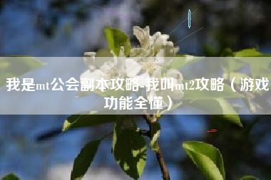 我是mt公会副本攻略-我叫mt2攻略（游戏功能全懂）