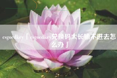 csgocdkey「csgocdkey兑换码太长输不进去怎么办」