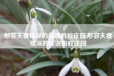 形容夫妻情深的词语蚂蚁庄园,形容夫妻情深的成语蚂蚁庄园