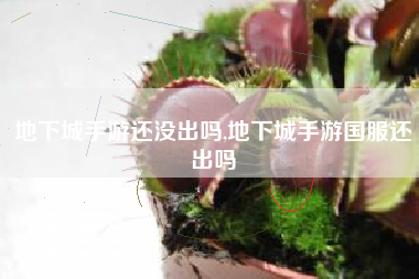 地下城手游还没出吗,地下城手游国服还出吗