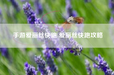 手游爱丽丝快跑 爱丽丝快跑攻略