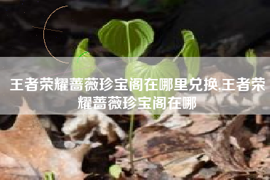 王者荣耀蔷薇珍宝阁在哪里兑换,王者荣耀蔷薇珍宝阁在哪