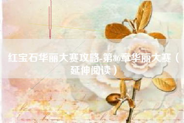 红宝石华丽大赛攻略-第86章华丽大赛（延伸阅读）