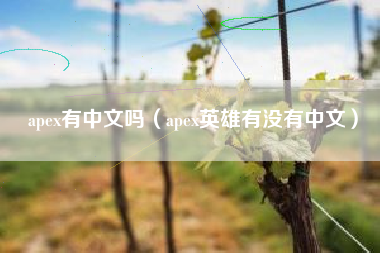 apex有中文吗（apex英雄有没有中文）
