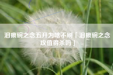 泪痕碗之念五开为啥不刷「泪痕碗之念攻值得杀吗」