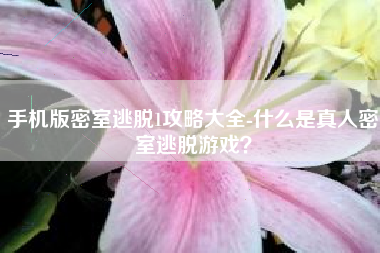手机版密室逃脱1攻略大全-什么是真人密室逃脱游戏？
